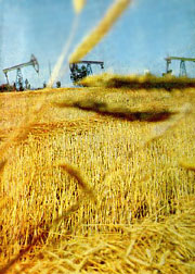 С сайта www.bashnet.ru/b/agriculture/agriculture.html